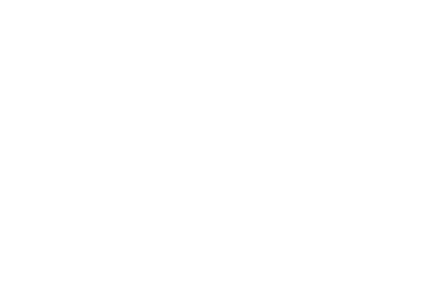 SimplonSäumer Logo